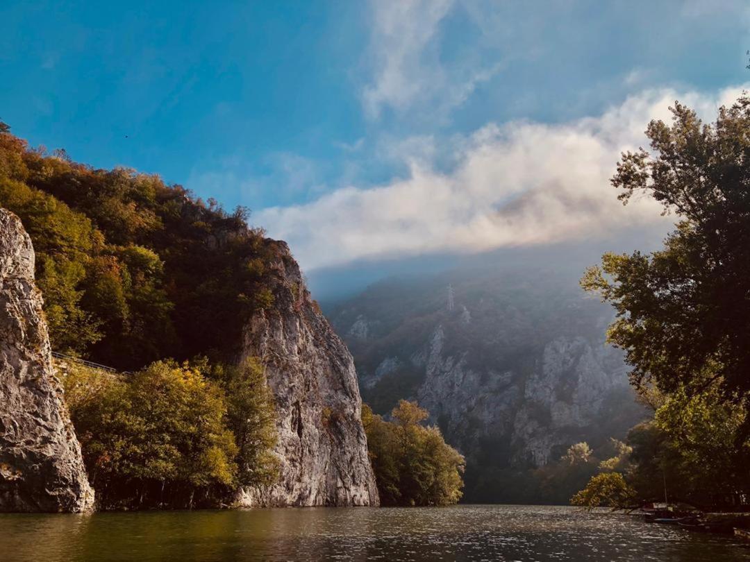 Glamping Jezero Apartment Cacak