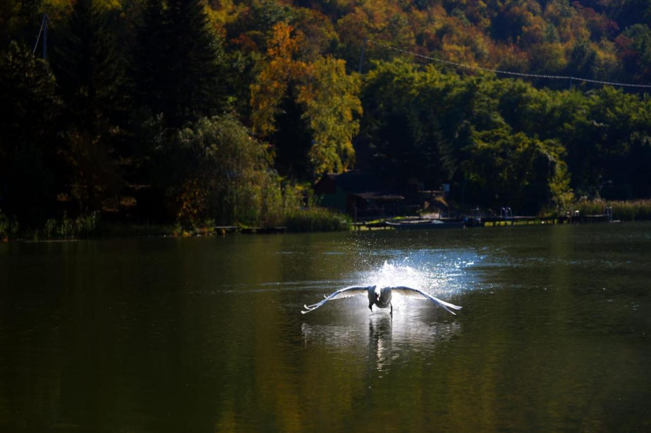 Glamping Jezero * Cacak