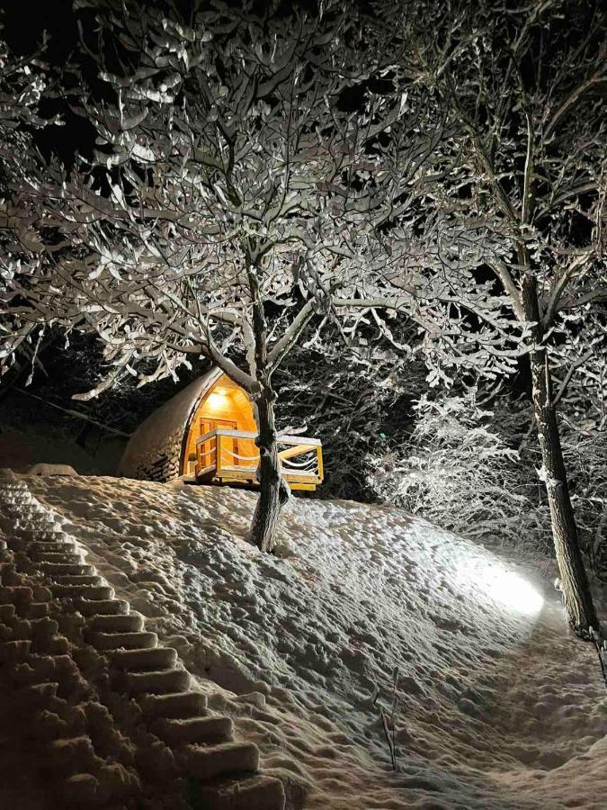 Glamping Jezero Apartment *